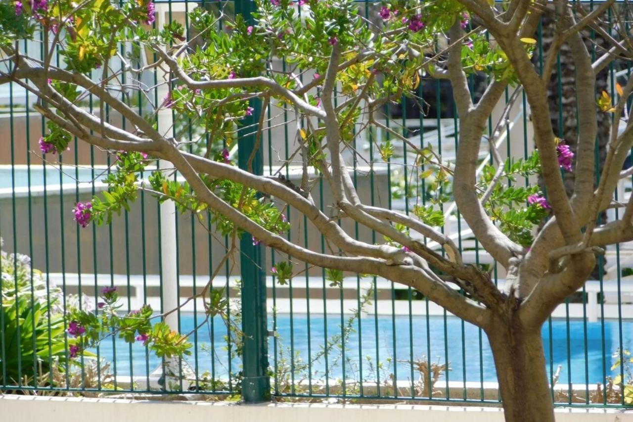 "T2 "Antibes Les Pins 3" Air Conditionned Sea View With Parking And Pool" Lägenhet Exteriör bild